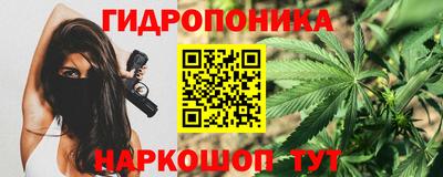 ПСИЛОЦИБИНОВЫЕ ГРИБЫ Заволжье