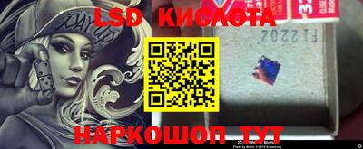 ПСИЛОЦИБИНОВЫЕ ГРИБЫ Заволжье