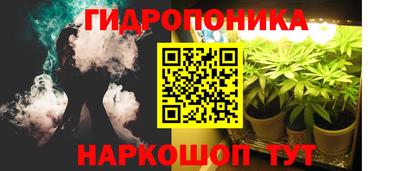 дмт Заводоуковск