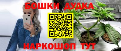 дмт Заводоуковск