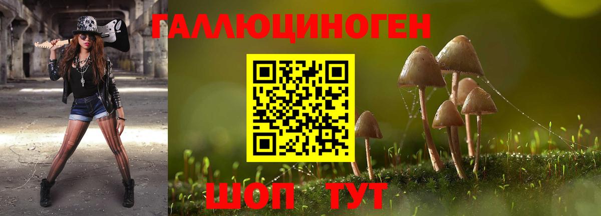 Псилоцибиновые грибы Psilocybe  Вход с VPN  Иваново 